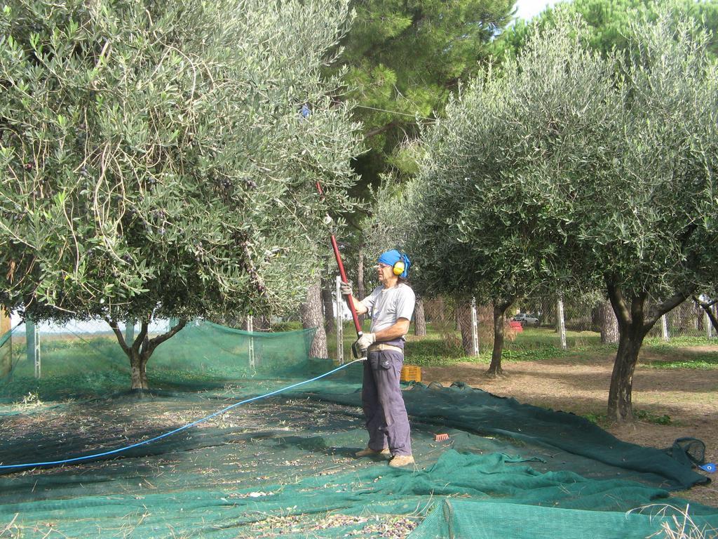 Casale Del Tiglio Cerveteri Quarto foto