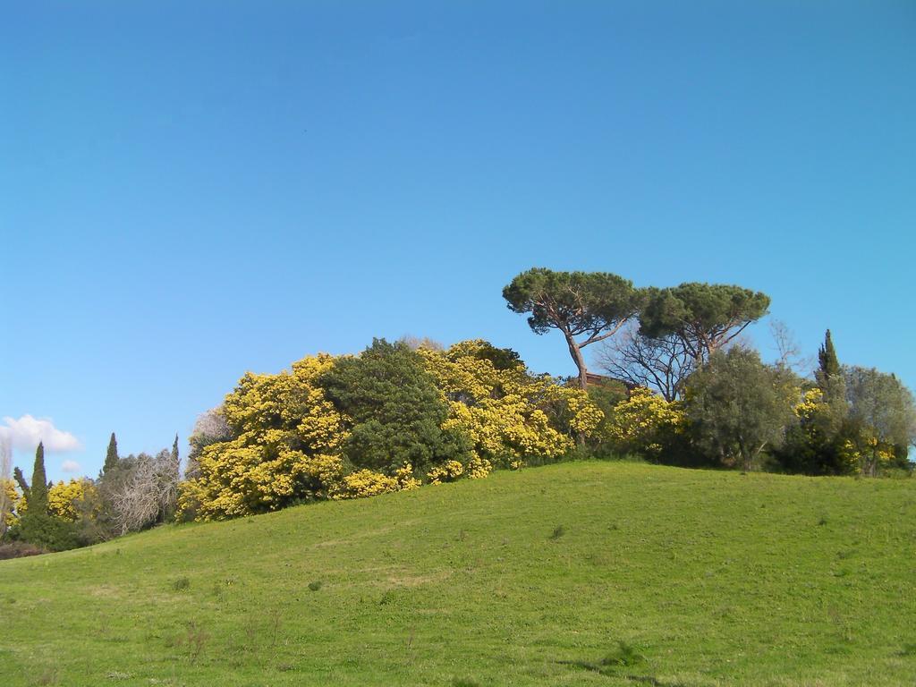 Casale Del Tiglio Cerveteri Quarto foto