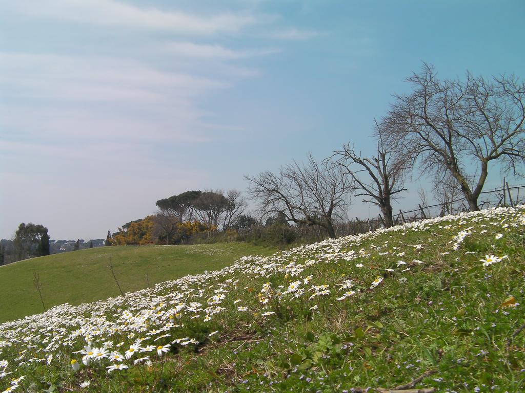 Casale Del Tiglio Cerveteri Quarto foto